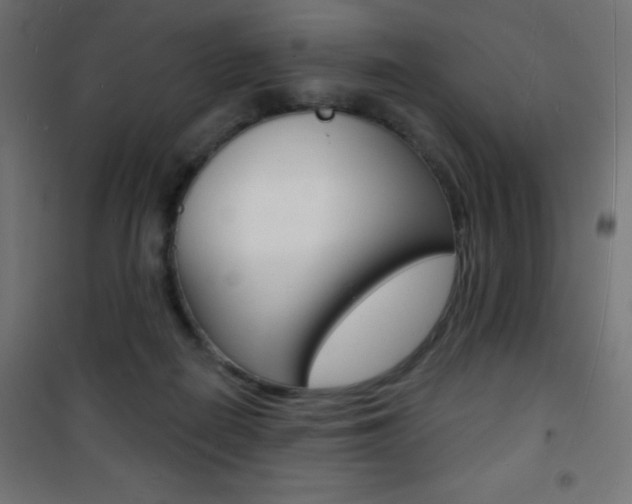 X0000101470266200807071226
