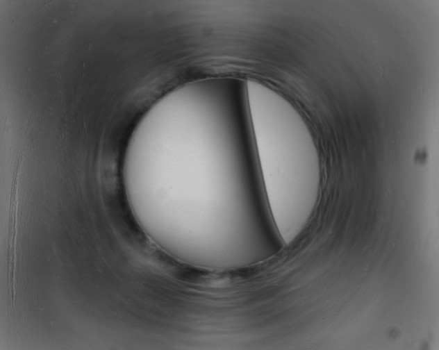 X0000101470267200807071226