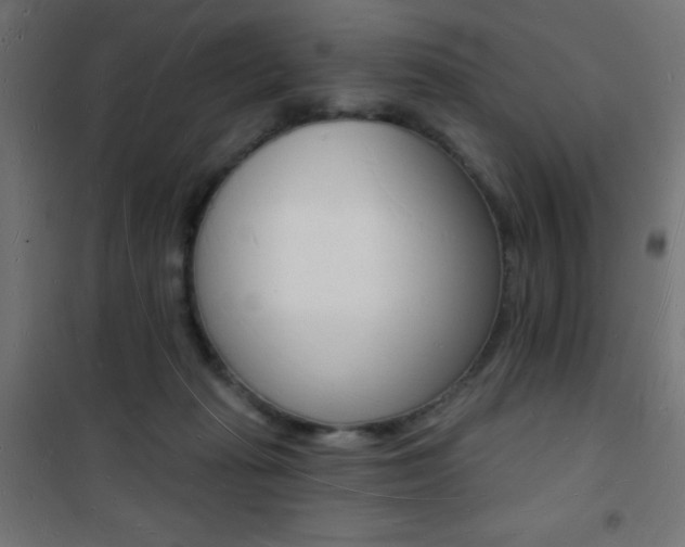 X0000101470269200807071226