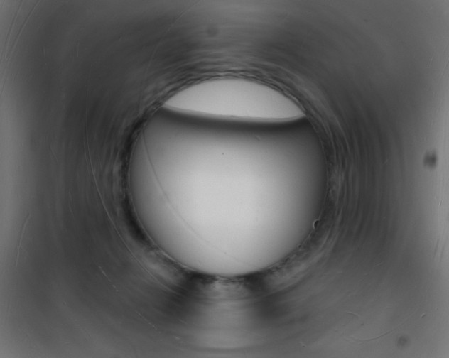 X0000101470270200807071226