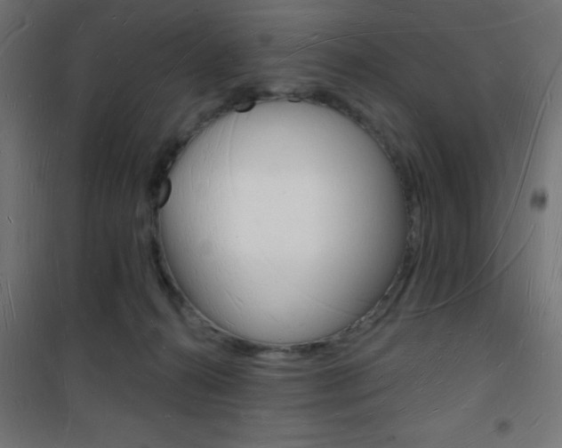 X0000101470272200807071226