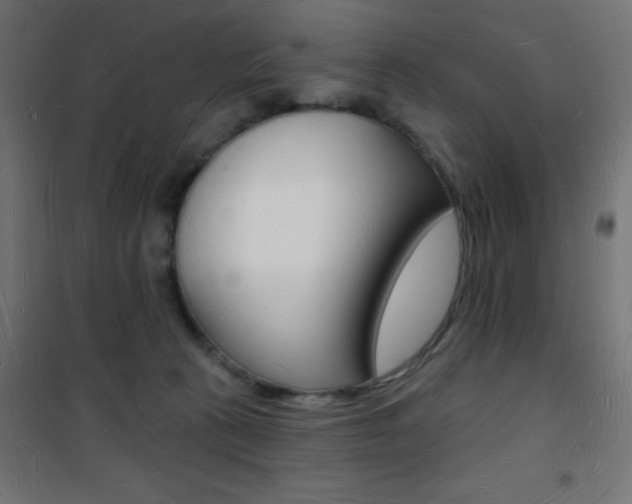 X0000101470273200807071226