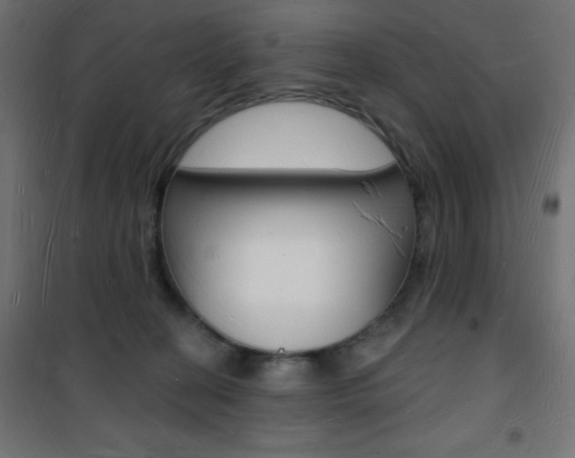 X0000101470274200807071226