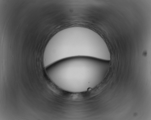 X0000101470275200807071226