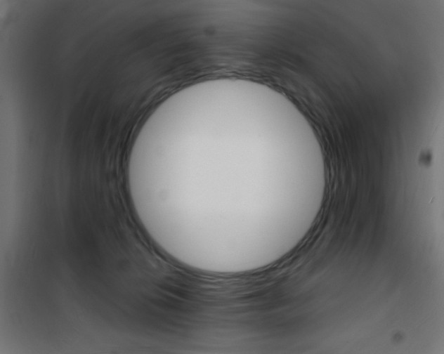 X0000101470276200807071226