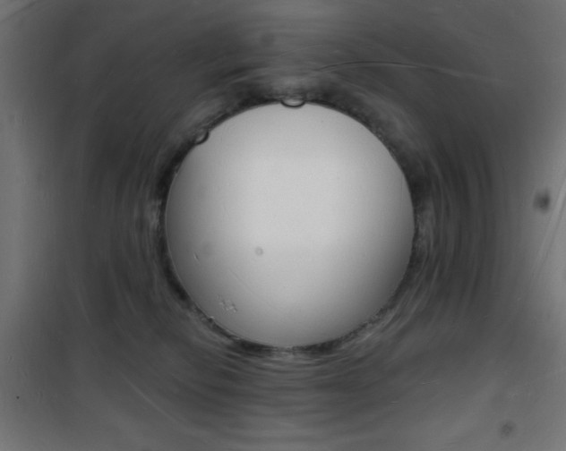 X0000101470278200807071226