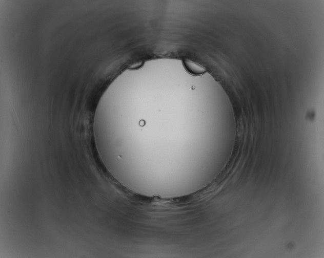 X0000101470280200807071226