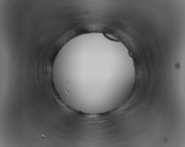 X0000101470281200807071226