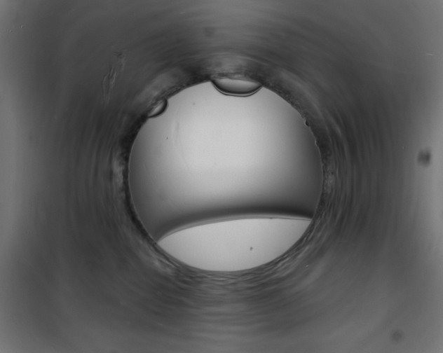 X0000101470282200807071226