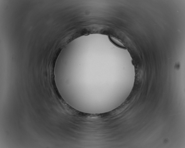X0000101470283200807071226