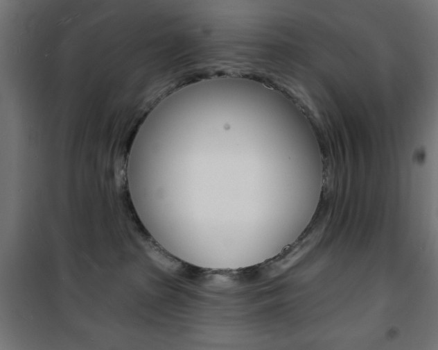 X0000101470285200807071226