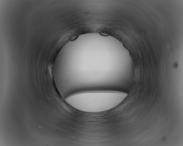 X0000101470286200807071226