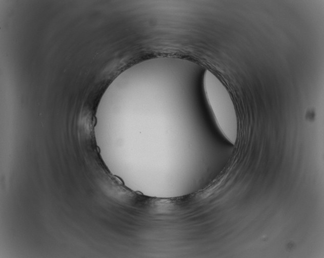X0000101470287200807071226