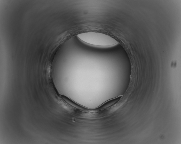 X0000101470288200807071226