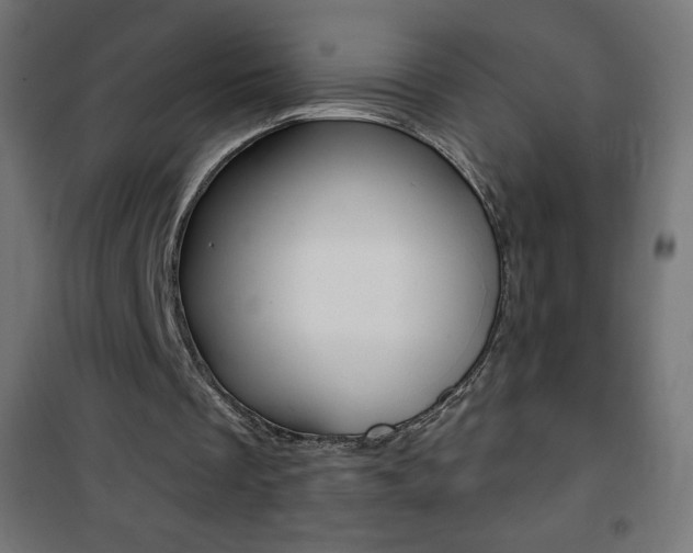 X0000101470289200807071225