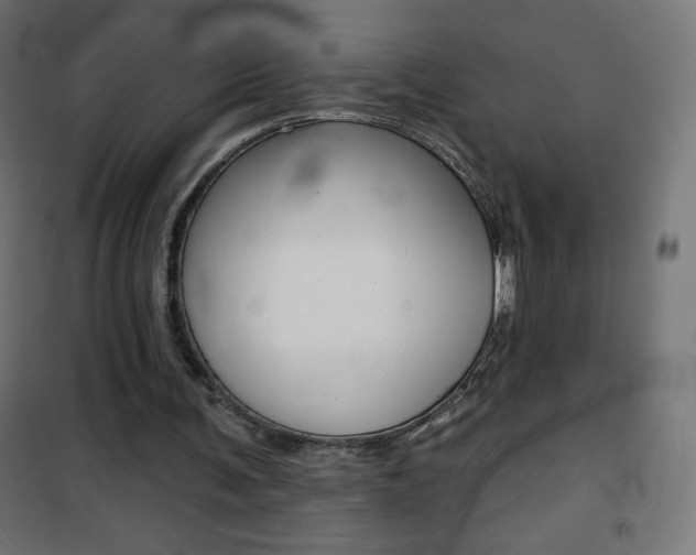 X0000101470291200807071225