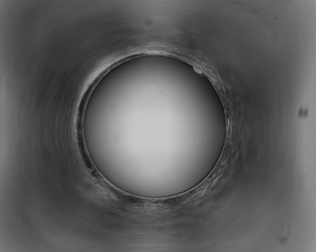 X0000101470292200807071225