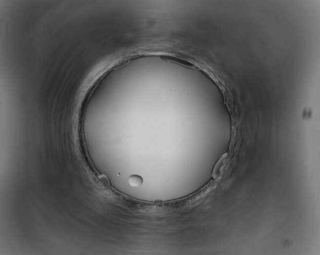 X0000101470293200807071225