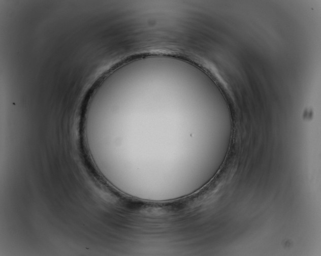 X0000101470299200807071225