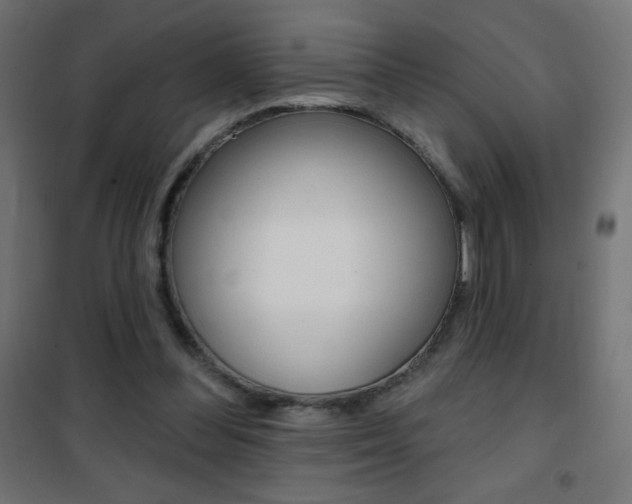 X0000101470300200807071225