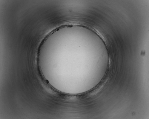 X0000101470301200807071225