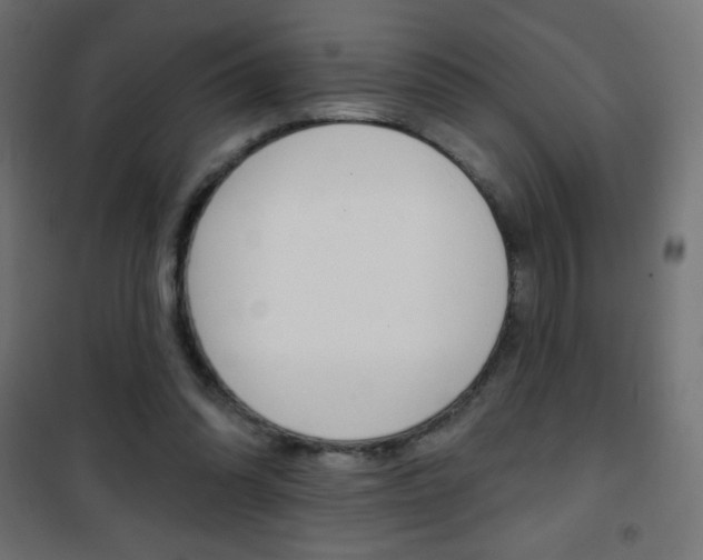 X0000101470302200807071225