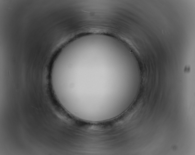 X0000101470303200807071225