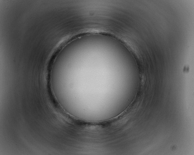 X0000101470304200807071225