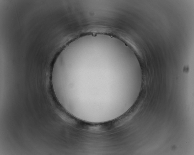 X0000101470309200807071225