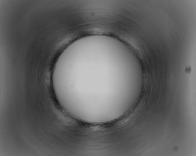 X0000101470310200807071225