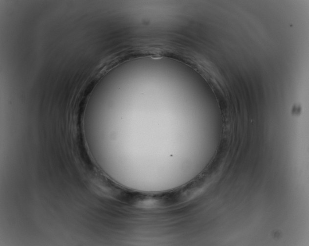 X0000101470312200807071225