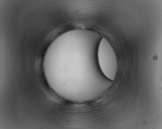 X0000101470314200807071225