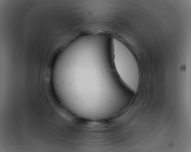 X0000101470315200807071225