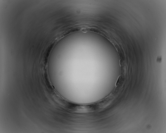 X0000101470316200807071225