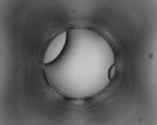 X0000101470318200807071225