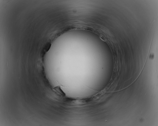 X0000101470320200807071225