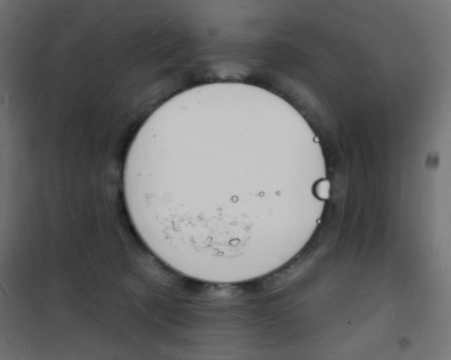 X0000101470321200807071225