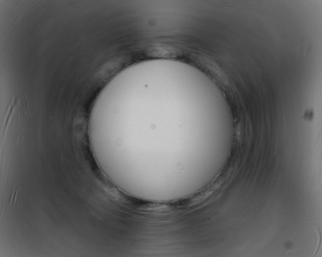 X0000101470322200807071225