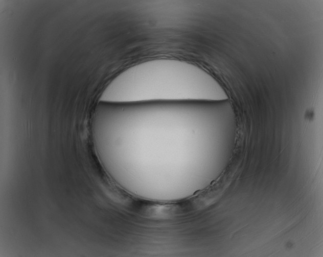 X0000101470323200807071225