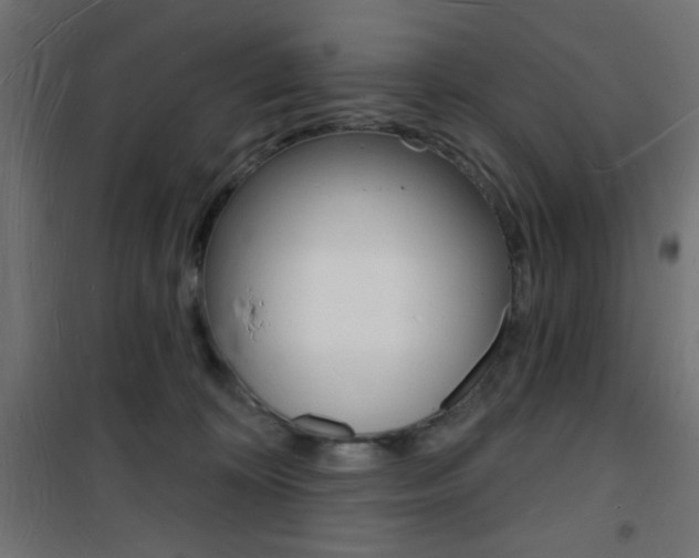 X0000101470324200807071225