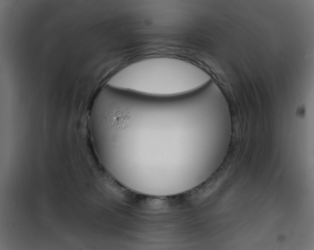 X0000101470325200807071225