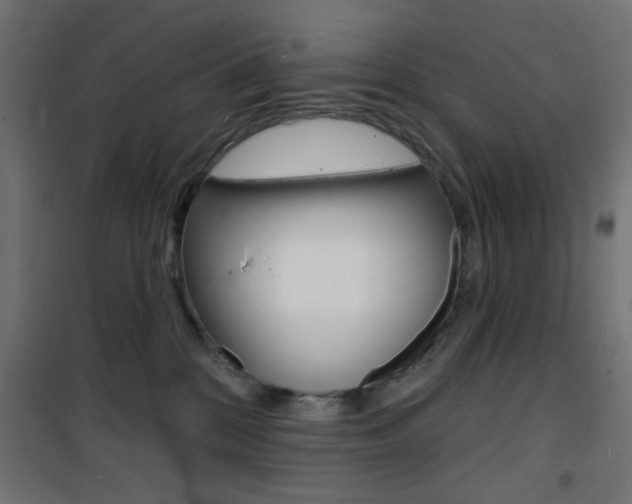 X0000101470328200807071225