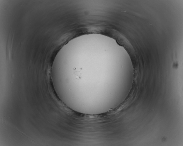 X0000101470329200807071225