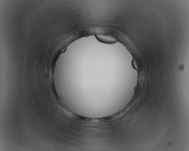 X0000101470330200807071225