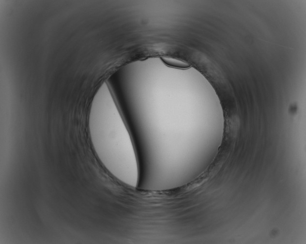 X0000101470331200807071225