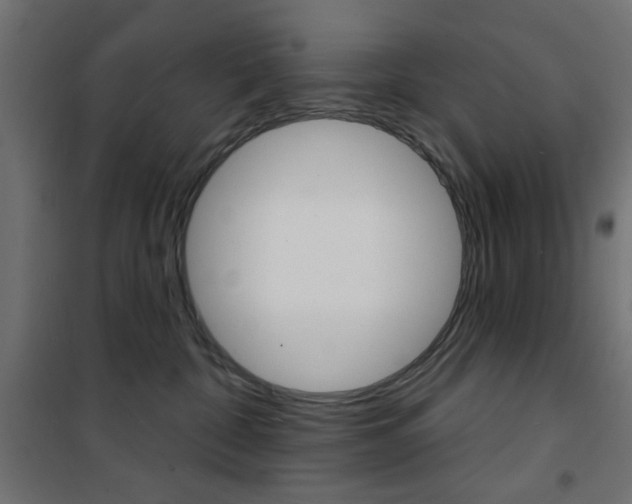 X0000101470332200807071225