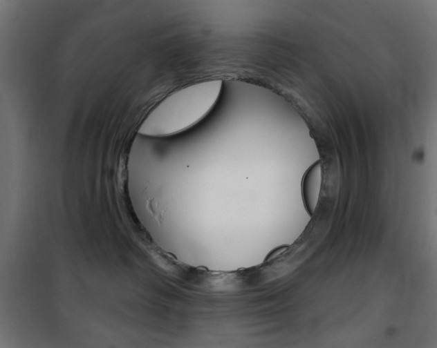X0000101470334200807071225