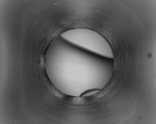 X0000101470335200807071225
