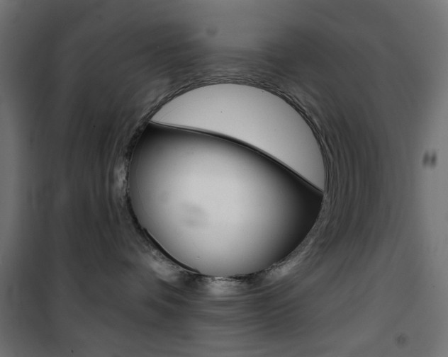 X0000101470336200807071225