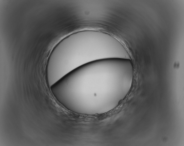 X0000101470337200807071224